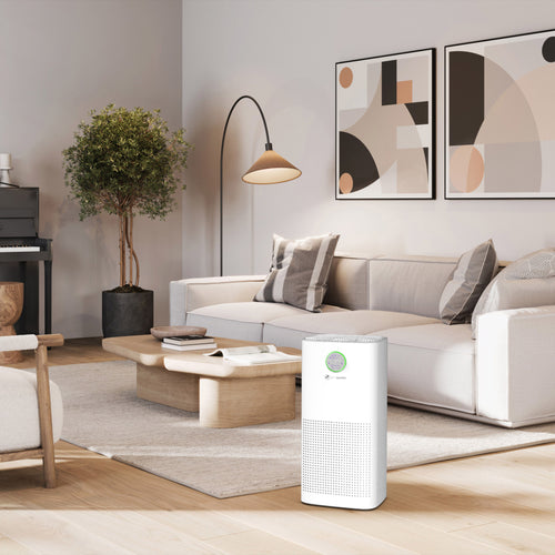 Luxlaria HEPA Air Purifier